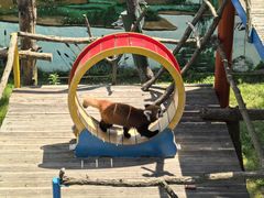 -西霞口神雕山野生动物世界