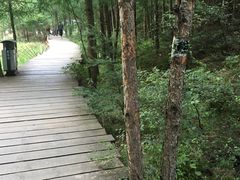 -苏木山森林公园