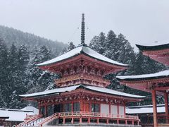 -比叡山