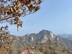 -大岭沟猕猴桃谷风景区