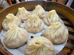 -莱莱小笼·乔艾
