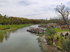 -上海长兴岛郊野公园
