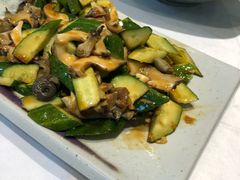 -海派美食·家宴海鲜青岛菜·石锅鲽鱼头(东方城店)