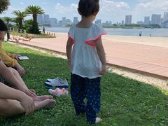 -台场海滨公园船码头