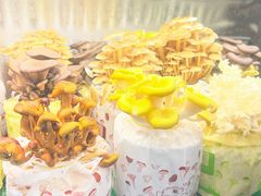 -烹然四季椰子鸡火锅(团结湖总店)