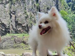 -刘伯温故里景区百丈漈