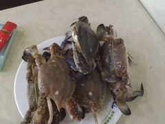 -春华海鲜城(广场西苑店)