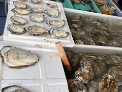 -南沙十九涌渔人码头-南门