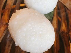 茨毛圆子-双塔老饭店
