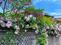 -丽江泸沽湖景区