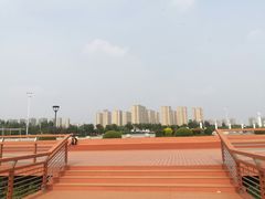 -丁香湖公园