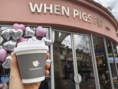 -WHEN PIGS FLY当猪飞