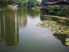 -铜锣湾·有麝自然香(渝北财富中心店)