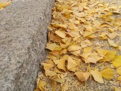 -辽东学院(南校区)