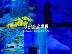 -沈阳海洋探索中心