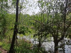 -桤木河湿地公园