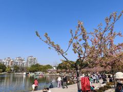 -新江湾城公园