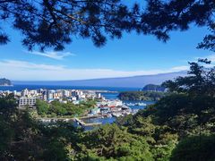 -西归浦每天偶来市场