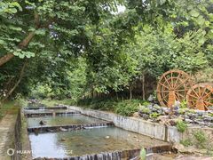 -广州白江湖森林公园