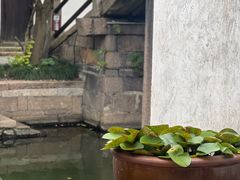 -黎里古镇