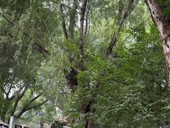 -酷鱼垂钓CLUB(朝阳区博大路店 )