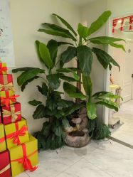 -健身堂科技美肌SPA