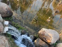 -厦门园林博览苑