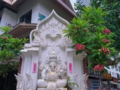 -西双版纳原始森林公园