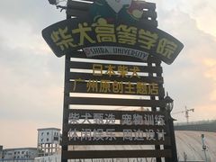 -柴犬高等学院·狗咖·柴犬售卖·宠物训练