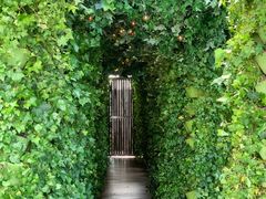 -顶层酒吧ROOF(上海艾迪逊酒店)