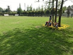 -洪湖家庭农场·团建·露营·会议
