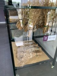 -太湖雪蚕桑文化园