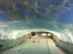 -世界之窗阿尔卑斯冰雪世界