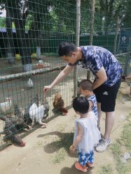 -上美四季动物农场