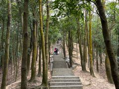 -阳台山森林公园