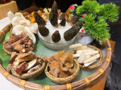 -菌彩云南野生菌火锅(呈贡七彩云南第壹城店)