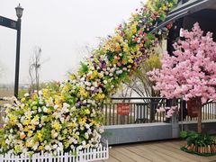 -武汉知音号