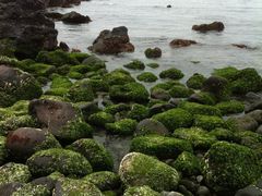 -龙头岩(Dragon Head Rock)