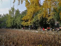 -四川大学(华西校区)