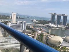 -新加坡瑞士史丹福酒店