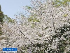 -鸣鹤古镇