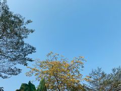 -广州莲花山旅游区