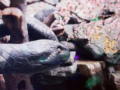 -榕记(番禺总店)