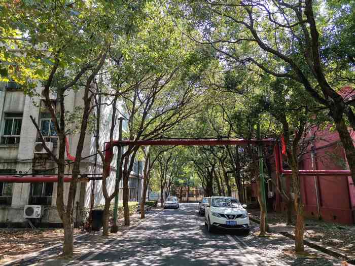 吴家湾邮科院-"这里真的是一片都市里的风景,都市里的公园.