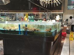 -阿伟海鲜楼·福建菜(延寿店)