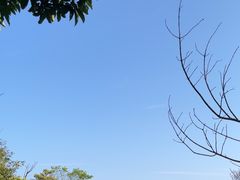-太平山顶