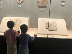 -辽宁古生物博物馆