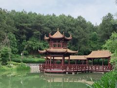 -铁山坪森林公园