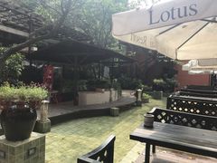 -Local泰莲庭(虹鳟鱼店)