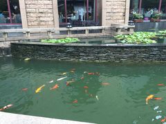 -苏州吴宫泛太平洋酒店
